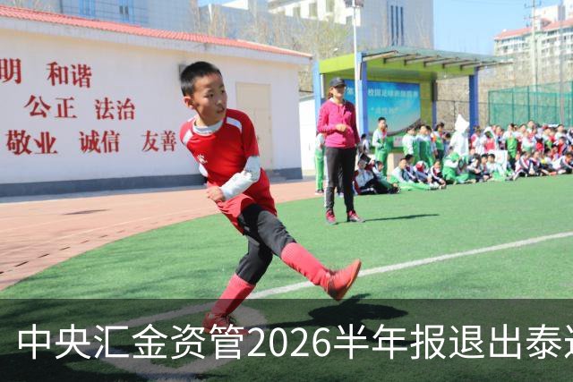 中央汇金资管2026半年报退出泰达股份前十大股东名单