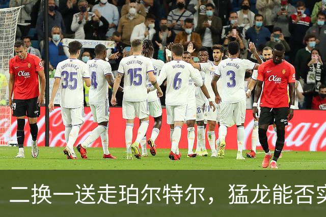 二换一送走珀尔特尔，猛龙能否实现五号位的升级