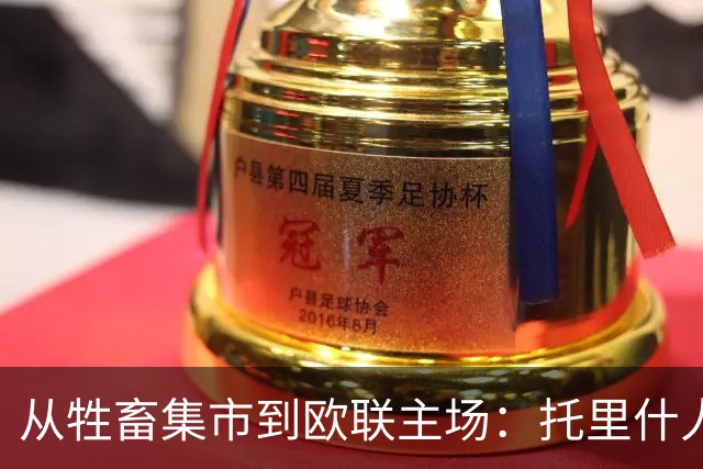 从牲畜集市到欧联主场：托里什人联合，等了百余年的欧战主场