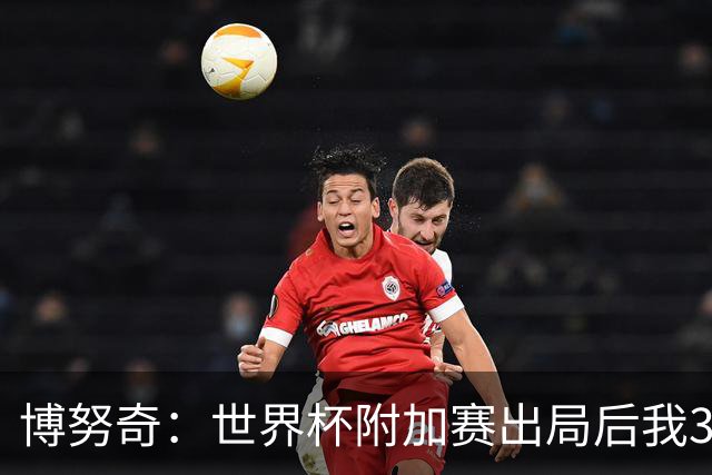 博努奇：世界杯附加赛出局后我3到4天连妻儿都不想见
