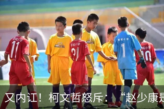 又内讧！柯文哲怒斥：“赵少康是绿营奸细”后，向郑丽文交底