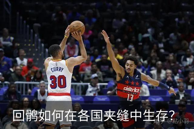回鹘如何在各国夹缝中生存？