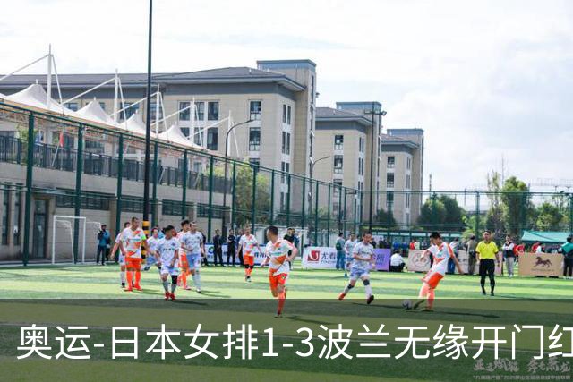 奥运-日本女排1-3波兰无缘开门红 古贺27分难救主