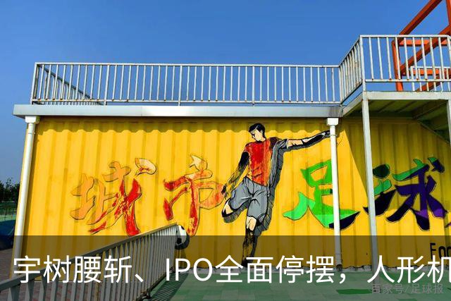 宇树腰斩、IPO全面停摆，人形机器人泡沫破了？