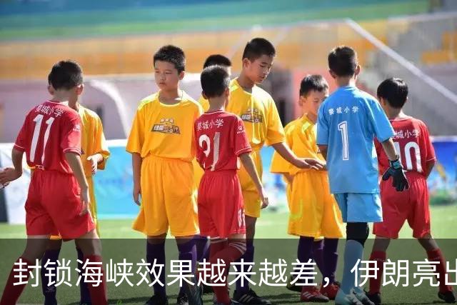封锁海峡效果越来越差，伊朗亮出 “同归于尽” 打法