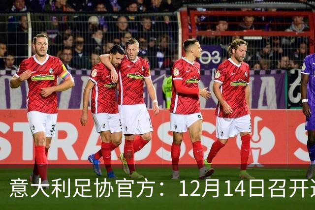 意大利足协官方：12月14日召开选举大会，会上将选出足协主席