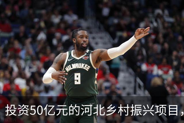 投资50亿元的河北乡村振兴项目，被举报有富豪“帝王式墓地”