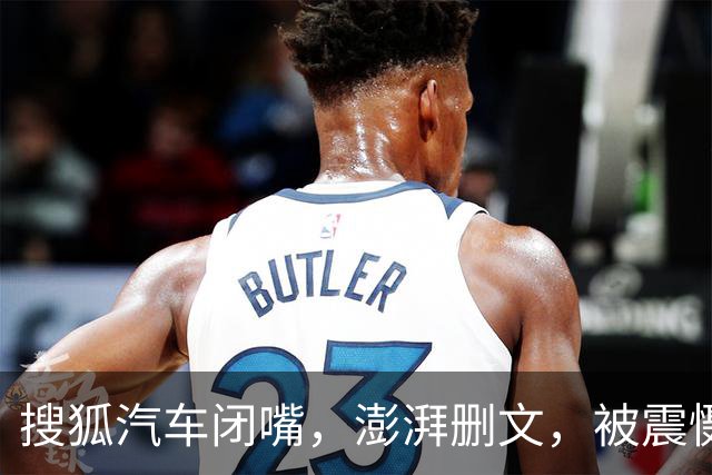 搜狐汽车闭嘴，澎湃删文，被震慑的是整个行业！