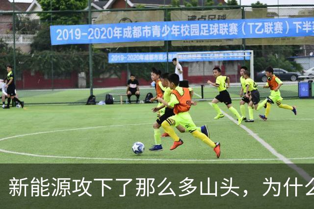 新能源攻下了那么多山头，为什么过不去这一座？