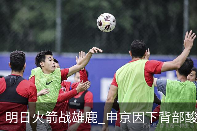 明日火箭战雄鹿 申京因下背部酸痛缺席比赛 斯玛特出战成疑