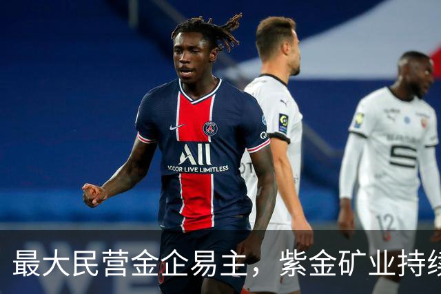 最大民营金企易主，紫金矿业持续“扫货”