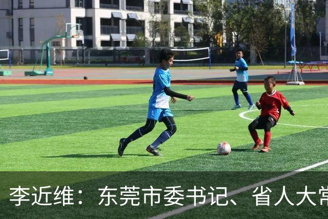 李近维：东莞市委书记、省人大常委会副主任