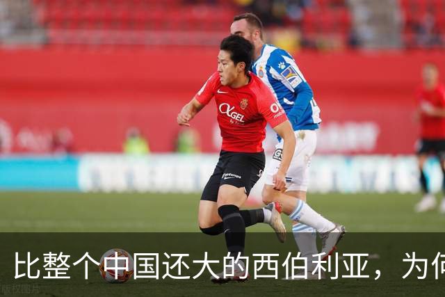 比整个中国还大的西伯利亚，为何如今只归俄罗斯所有？