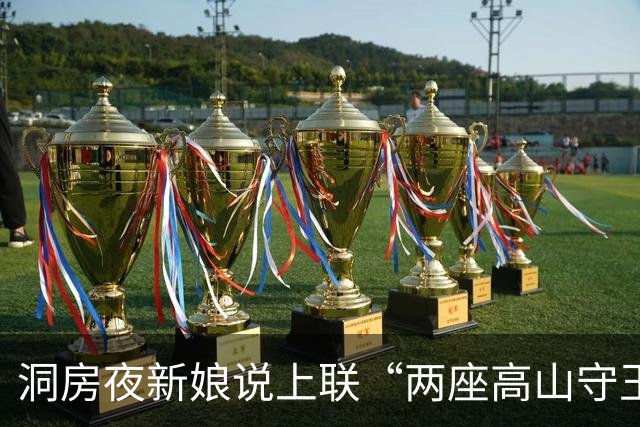 洞房夜新娘说上联“两座高山守玉门”,新郎对下联后,她：没羞没臊
