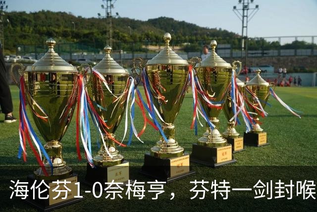海伦芬1-0奈梅亨，芬特一剑封喉