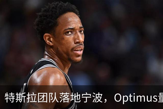 特斯拉团队落地宁波，Optimus量产审核启动
