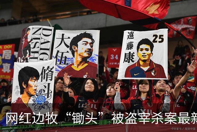 网红边牧“锄头”被盗宰杀案最新进展：犬主人接受30万元赔偿，将全部捐给宠物救助机构