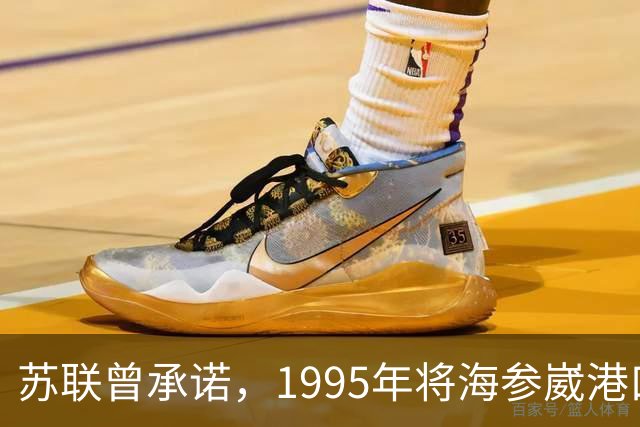 苏联曾承诺，1995年将海参崴港口归还中国，为何如今却杳无音信？