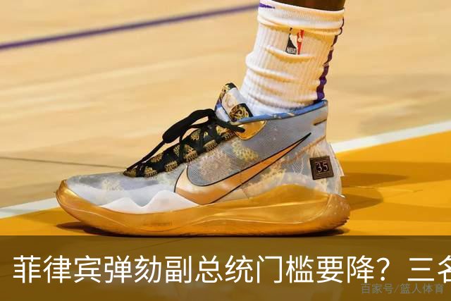 菲律宾弹劾副总统门槛要降？三名前大法官齐发声：16票不该固定