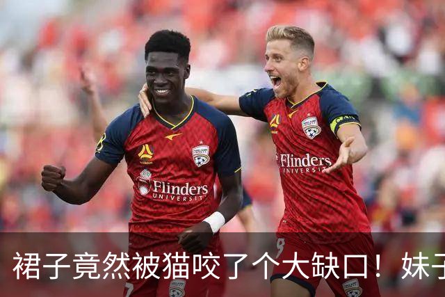 裙子竟然被猫咬了个大缺口！妹子穿裙子上班一天太尴尬了，当事猫：妈，我的设计还不错吧！