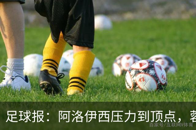 足球报：阿洛伊西压力到顶点，蓉城全队上下明白客战海港输不起