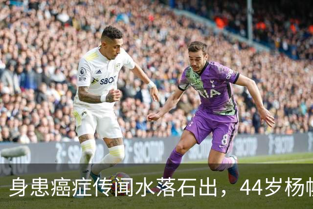 身患癌症传闻水落石出，44岁杨帆现状曝光，早已走上了另一条大道