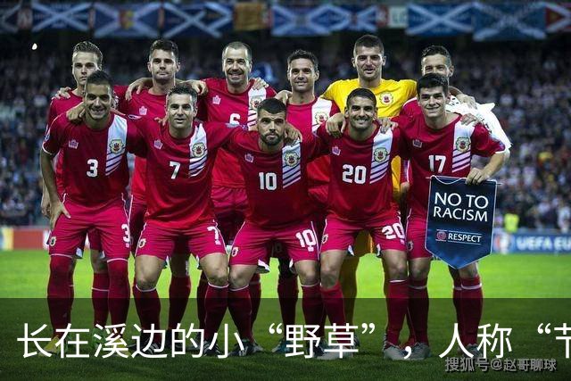 长在溪边的小“野草”，人称“节节草”，农民拔了扔，现20元一盆