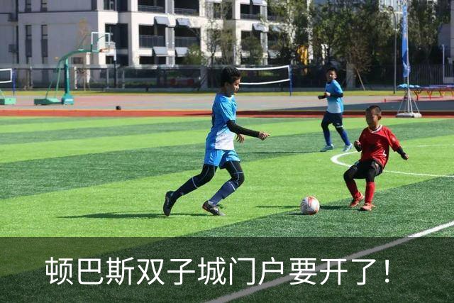 顿巴斯双子城门户要开了！