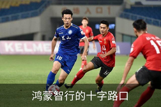 鸿蒙智行的十字路口