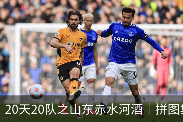 20天20队之山东赤水河酒｜拼图集齐 冲击冠军