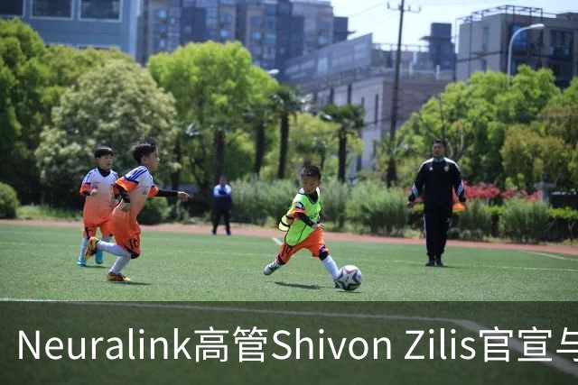 Neuralink高管Shivon Zilis官宣与马斯克分手